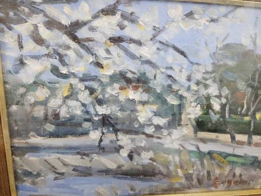 油絵、再値下げしました！ 油絵 油彩 油彩画 絵 絵画 【しだれ桜】 絵画 HR 通販