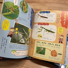 絵本 各種③の画像