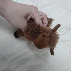 アルパカ？ ぬいぐるみの画像