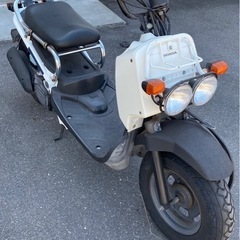 ホンダ ズーマー
の画像