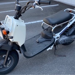 ホンダ ズーマー
の画像