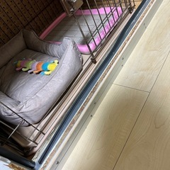 防音ゲージ（犬小屋製作工房K）の画像