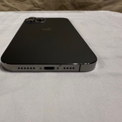 iPhone 12pro max 256GB
の画像