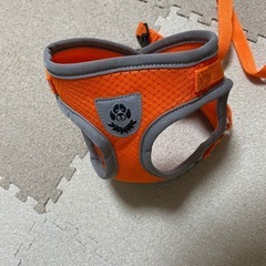 犬用胴輪の画像