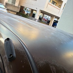 ムーブコンテの画像
