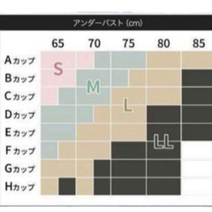 アガリズム ナイトブラ Lの画像