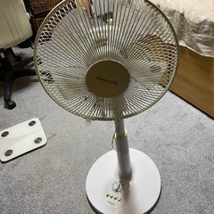 ファンの画像