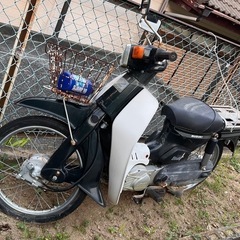 スズキバーディの画像