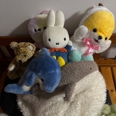 ぬいぐるみ　10個　　たくさん　の画像
