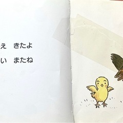 0〜2歳向け 絵本 24冊セット（だるまさん・しまじろう他）の画像