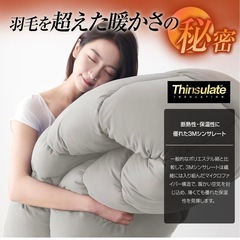 シンサレート 掛け布団 セミダブル 防ダニ 抗菌防臭 170x210cm グレーの画像