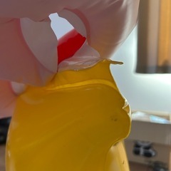 ビニールプール　きのこの画像