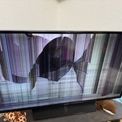 ジャンク品　TH-43FX750の画像