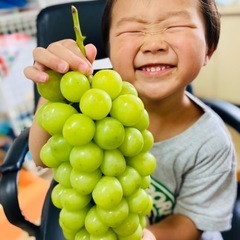 【裏メニュー】粒シャインマスカットの画像