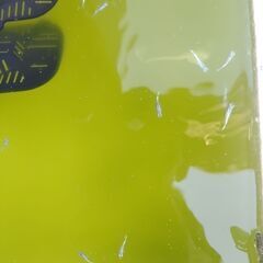 みゆきメダカ　今年産　特価　10匹＋αの画像