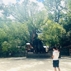 農作業を手伝います