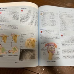 臨床のための解剖学の画像