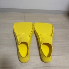 フィンの画像