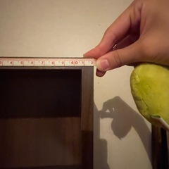 【急募！8/13まで】カラーボックス　2個セットの画像