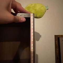 【急募！8/13まで】カラーボックス　2個セットの画像
