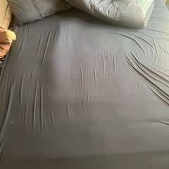 ベットの画像