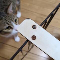 ペットゲート２個セットの画像