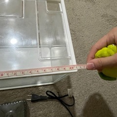 【急募！8/13まで】水槽　金魚鉢の画像