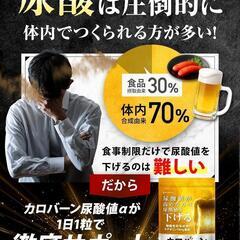 カロバーン尿酸値 尿酸値 下げる 機能性表示食品 ルテオリン アンセリンの画像