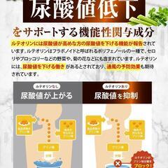 カロバーン尿酸値 尿酸値 下げる 機能性表示食品 ルテオリン アンセリンの画像