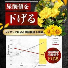 カロバーン尿酸値 尿酸値 下げる 機能性表示食品 ルテオリン アンセリンの画像