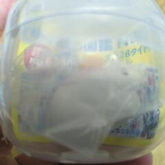 小学館のガチャのやつの画像