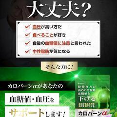 カロバーン サプリメント 血糖値 血圧 機能性表示食品 バナバ葉 GABAの画像
