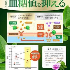 カロバーン サプリメント 血糖値 血圧 機能性表示食品 バナバ葉 GABAの画像