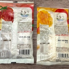 犬用おやつ きなり くちどけやわらかゼリー 4種セット 40本 個包装ゼリー 犬用ゼリー 水分補給の画像