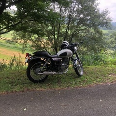 st250の画像