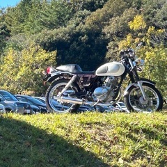 st250の画像