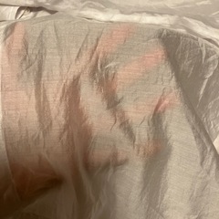 美品シースルーシャツの画像