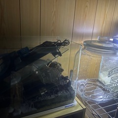 スチールラック水槽セットの画像