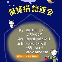 保護猫ナイト譲渡会inみたけ 20250830