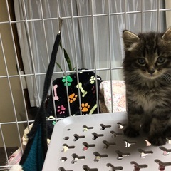 可愛い男の子