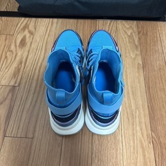 NBA禁止バッシュ　APL concept　Xの画像