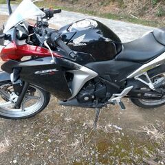 バイク250の画像