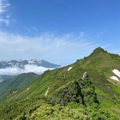 8月13.14.15で羅臼岳一緒に登ってくれる女性の方