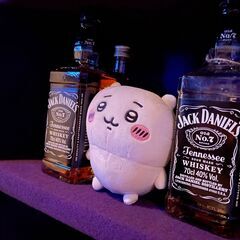 週1日からのカジュアルなBarスタッフの画像