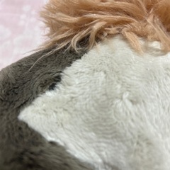 決まりました❗️の画像