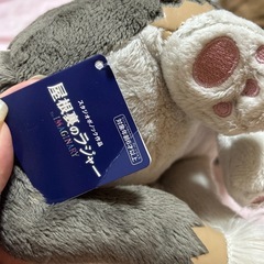 決まりました❗️の画像