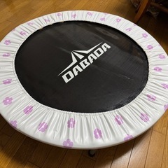 屋内子供用トランポリンの画像