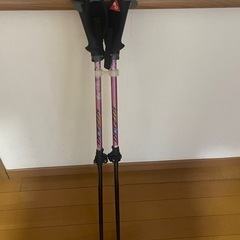 登山　杖　ピンク色 2本セットの画像