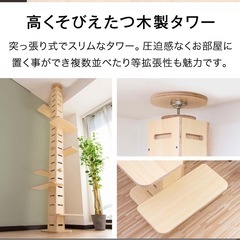 猫　キャットタワー　木製突っ張りタイプの画像