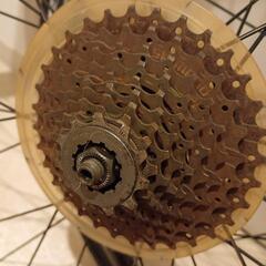 (決定)自転車　ボントレジャータイヤ　サイズ700cの画像